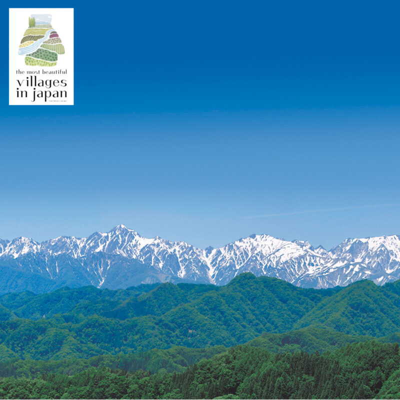 🏔️信州・小川村の夏を遊び尽くす！