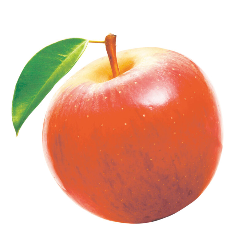 🍎🍑JAながの 須高フルーツセンター『赤い屋根』直売所が2025年7月25日（金）オープン！