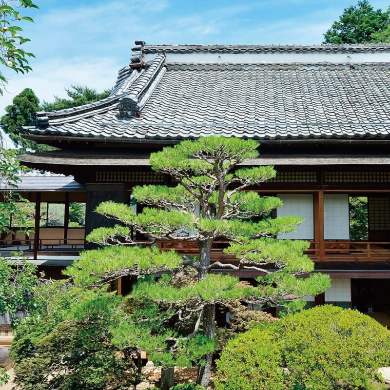 田中本家博物館 秋の彩りめぐり 〜芸術・歴史・食を楽しむ〜