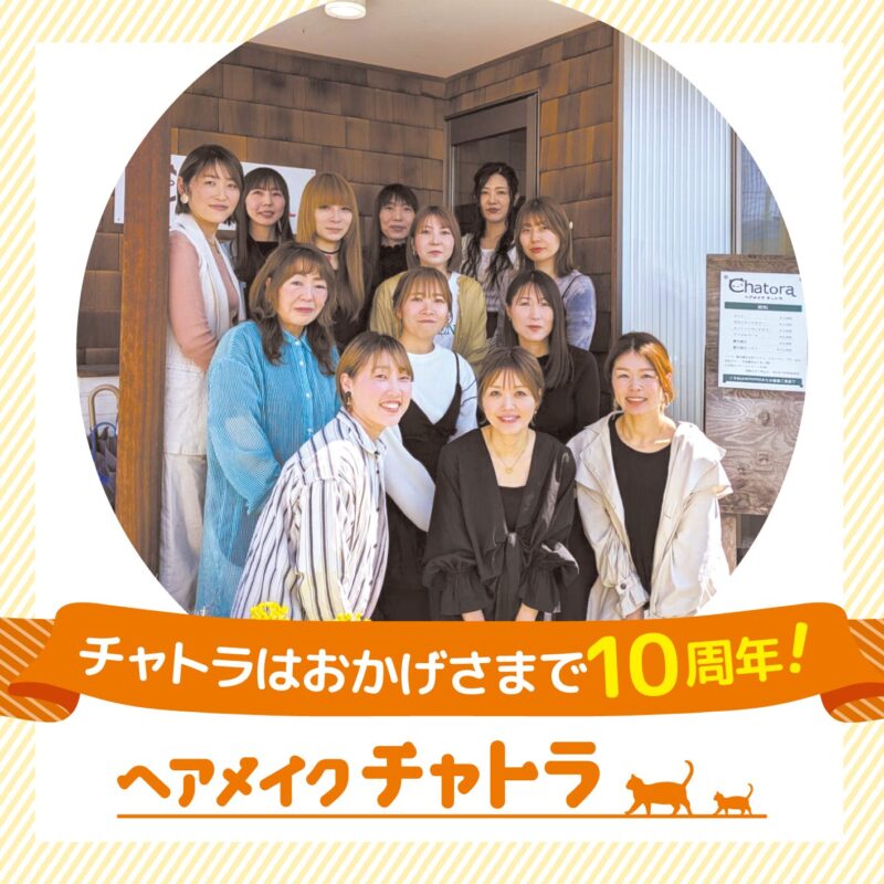 ✂️チャトラはおかげさまで10周年✨
