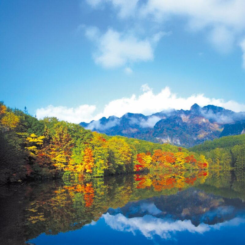 🍁自然と共に楽しむ秋のマルシェ「どんぐりマルシェ2025」開催!